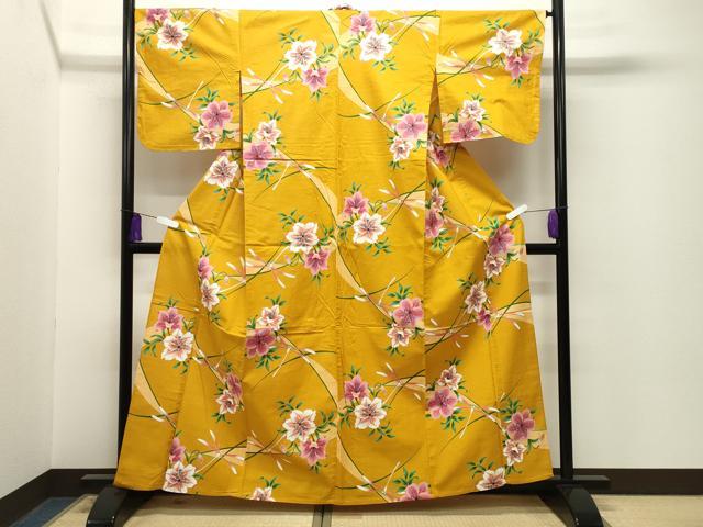 平和屋着物∴夏物　浴衣　トンボ　草花文　金彩　綿　逸品　CABG4152gh