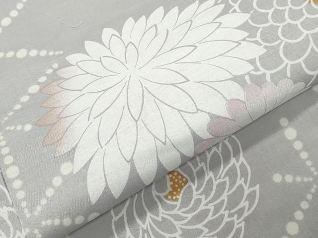 平和屋着物∴夏物 浴衣 舞菊文 綿 逸品 CABG4194gh