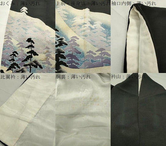 平和屋着物■豪華黒留袖 刺繍 遠山風景文 金彩 正絹 逸品 CABG4263gh