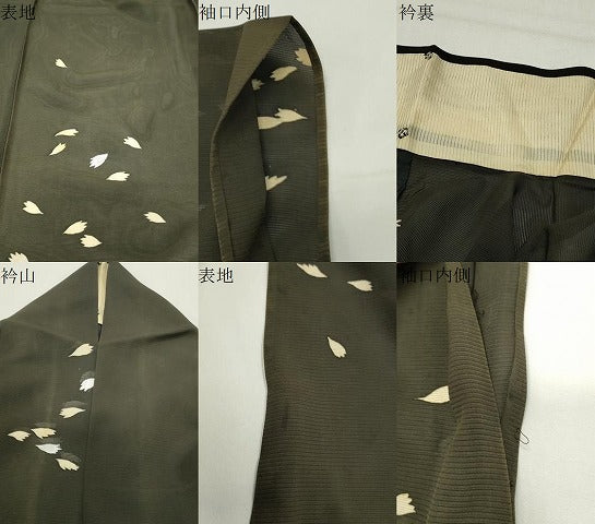 平和屋着物＊夏物　訪問着　絽　舞花文　黒地　銀彩　正絹　逸品　CABG4279gh