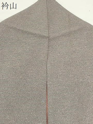 平和屋着物＊夏物　洗える最高級着物　＜英＞はなぶさ謹製　江戸小紋　絽　鮫小紋柄　CABG4280gh