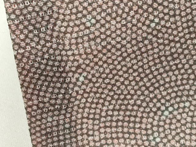 平和屋着物＊夏物　洗える最高級着物　＜英＞はなぶさ謹製　江戸小紋　絽　鮫小紋柄　CABG4280gh