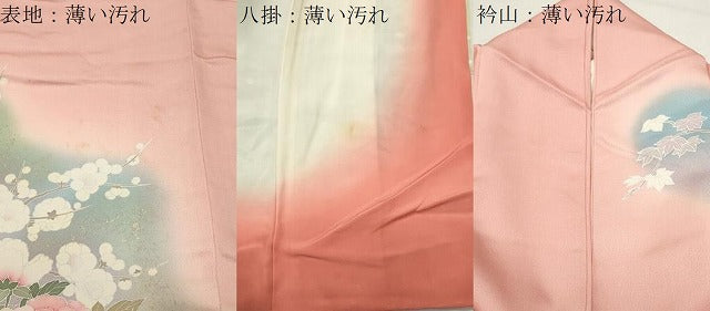 平和屋着物■訪問着　孔雀花文　暈し染め　金銀彩　正絹　逸品　CABG4328gh