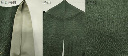 平和屋着物●訪問着　舞葉文　暈し染め　鬼しぼ縮緬　正絹　逸品　CABG4491gh