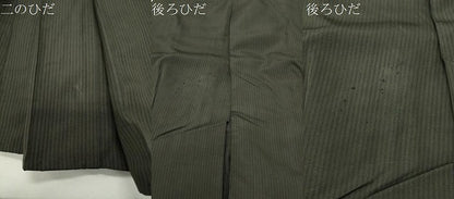 平和屋着物●男性　馬乗り袴　縞　正絹　逸品　CABG4537gh