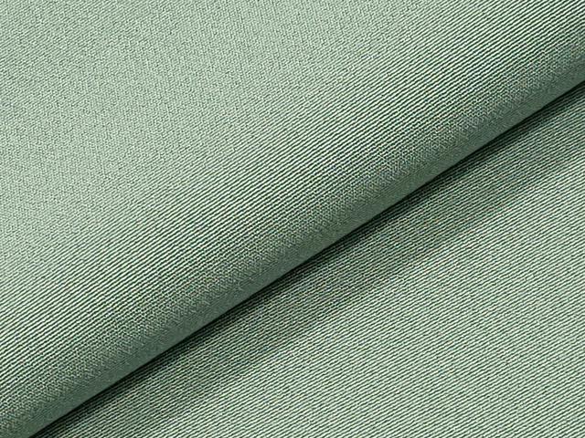 平和屋着物●上質な色無地　夏虫色　正絹　逸品　CABG4599gh