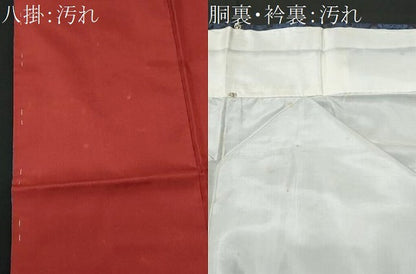 平和屋着物■本場大島紬 菱花文 正絹 逸品 CABG4963fb