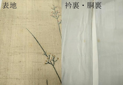 平和屋着物●訪問着　生紬　草花文　正絹　逸品　CABG5227ut