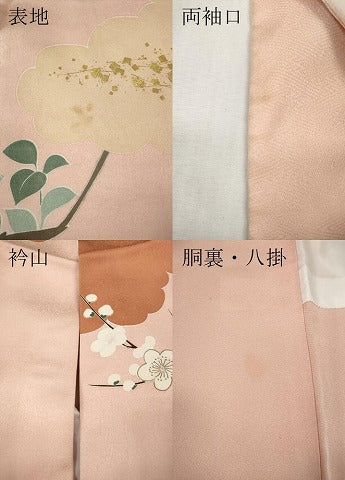 平和屋着物●豪華振袖　雲取り草花文　金彩　正絹　逸品　CABG5242ut