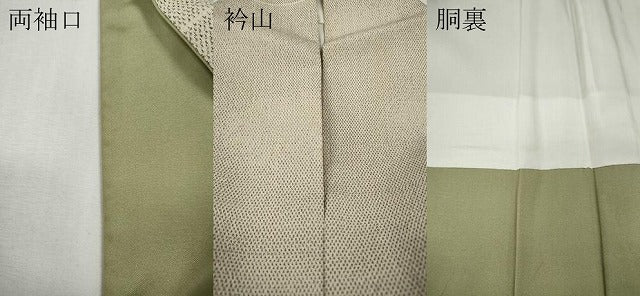 平和屋着物●本塩沢　吉祥文　伊勢丹扱い　正絹　逸品　CABG5253ut