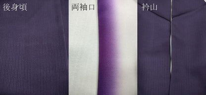 平和屋着物●上質な小紋　唐草文　暈し染め　正絹　逸品　CABG5279ut