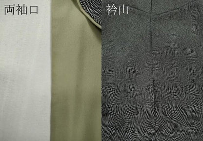 平和屋着物●江戸小紋　鮫小紋柄　黒地　大丸扱い　正絹　逸品　CABG5286ut