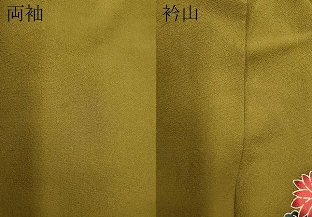 平和屋着物●豪華振袖　型染め　束ね熨斗流水花文　暈し染め　正絹　逸品　CABG5293ut