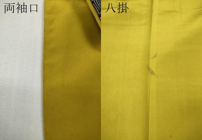 平和屋着物●本場大島紬　龍郷絣　菱花文　正絹　逸品　CABG5312ut