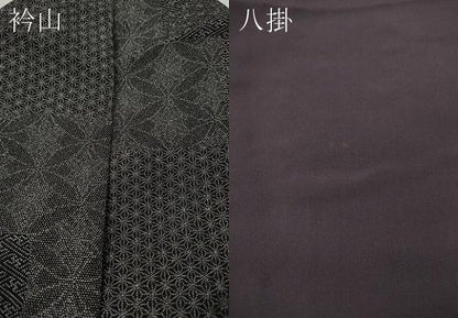 平和屋着物●江戸小紋　横段吉祥文　鬼しぼ縮緬　健勝苑扱い　正絹　逸品　CABG5318ut