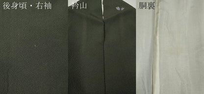 平和屋着物●世界的人形師　辻村寿三郎　ジュサブロー　訪問着　舞花びら　正絹　逸品　CABG5322ut