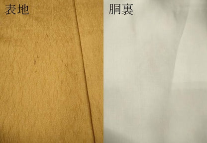 平和屋着物●訪問着　草花文　暈し染め　金彩　正絹　逸品　CABG5341ut