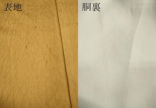 平和屋着物●訪問着　草花文　暈し染め　金彩　正絹　逸品　CABG5341ut