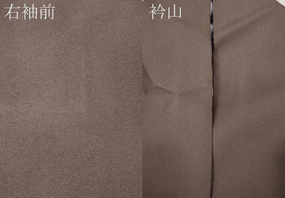 平和屋着物●訪問着　作家物　葡萄蔦の葉文　蛍暈し　金彩　正絹　逸品　CABG5348ut