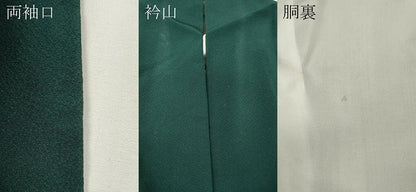 平和屋着物●上質な色無地　鉄色　ロング丈　正絹　逸品　CABG5353ut