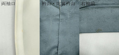 平和屋本店●松尾光琳　色留袖　大名行列　金彩　共箱付き　ロング丈　正絹　逸品　CABG5370ut