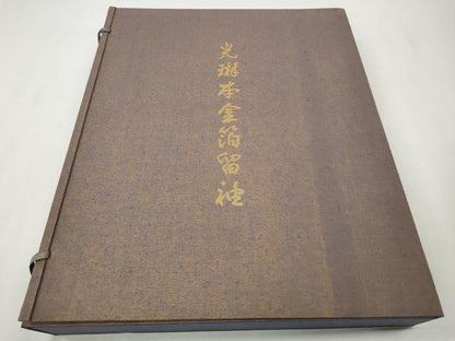 平和屋本店●松尾光琳　色留袖　大名行列　金彩　共箱付き　ロング丈　正絹　逸品　CABG5370ut