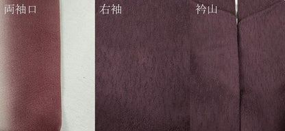 平和屋着物●訪問着　駒刺繍　舞花文　暈し染め　金彩　やまと誂製　正絹　逸品　CABG5405ut