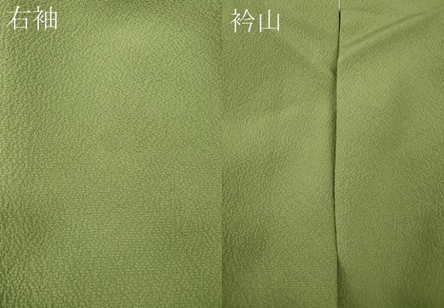 平和屋着物●訪問着　辻が花　絞り　暈し染め　正絹　逸品　CABG5406ut