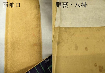 平和屋着物●本場大島紬　龍郷絣　秋名バラ　正絹　逸品　CABG5471ut