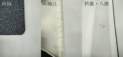 平和屋着物●訪問着　刺繍　舞花文　たたき染め　金彩　正絹　逸品　CABG5528ut
