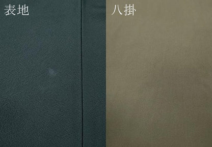 平和屋着物●世界的人形師　辻村寿三郎　ジュサブロー　訪問着　舞花びら　金彩　ロング丈　正絹　逸品　CABG5539ut