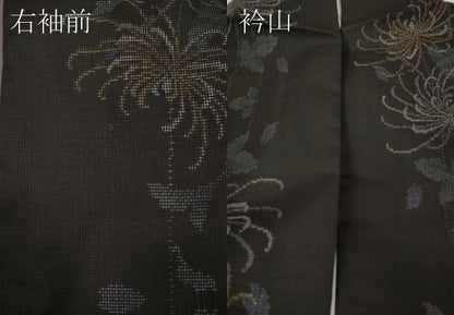 平和屋着物●本場大島紬　9マルキ　乱菊　間道　京都きもの友禅扱い　正絹　逸品　CABG5566ut