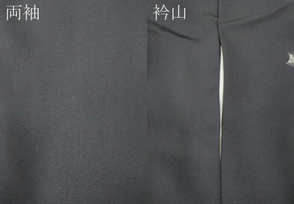 平和屋着物●訪問着　刺繍　地紙楽器宝尽くし文　金彩　正絹　逸品　CABG5568ut