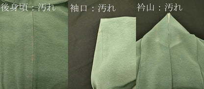 平和屋着物■色留訪問着　霞文　暈し染め　正絹　逸品　CABG5622oy