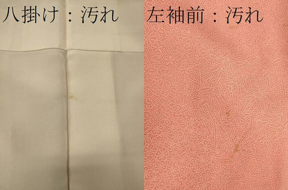 平和屋着物■江戸小紋　草花文　正絹　逸品　CABG5636oy