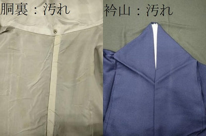 平和屋着物■訪問着 糸車立波花文 暈し染め 金彩 正絹 逸品 CABG5886oy