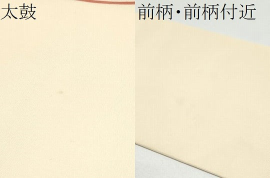 平和屋着物●塩瀬　九寸名古屋帯　舞花間道　正絹　逸品　CABG6253hy