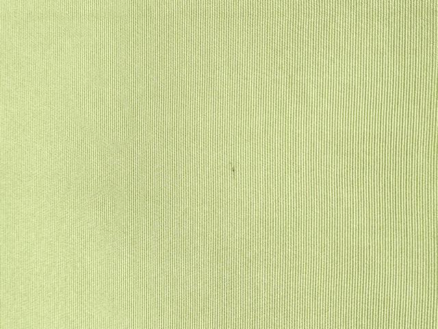 平和屋着物●爪掻き本綴れ　八寸名古屋帯　色無地　裏葉柳色　正絹　逸品　CABG6398hy