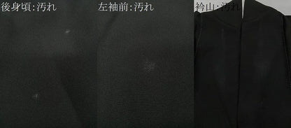 平和屋着物■豪華黒留袖　飛鶴松梅文　暈し染め　金彩　正絹　逸品　CABG6430xe