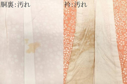 平和屋着物■長襦袢　袷　花尽くし　正絹　逸品　CABG6493xe