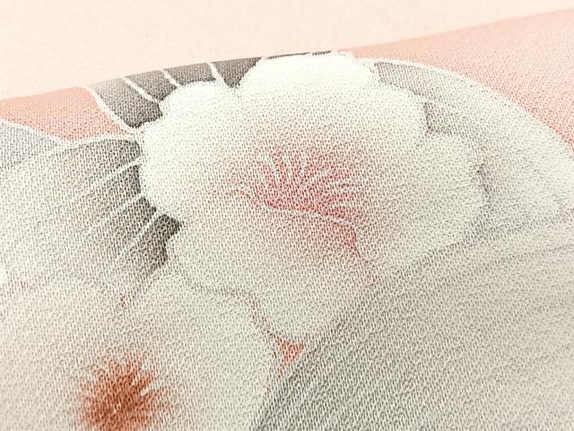 平和屋着物■訪問着　草花文　暈し染め　正絹　逸品　CABG6569xe