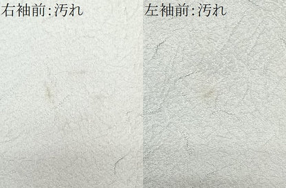 平和屋着物■訪問着 宝尽し 暈し染め 金彩 正絹 逸品 CABG6740xe