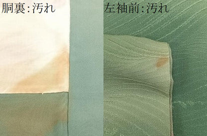 平和屋着物■上質な小紋　立波地紋　暈し染め　正絹　逸品　CABG6754xe