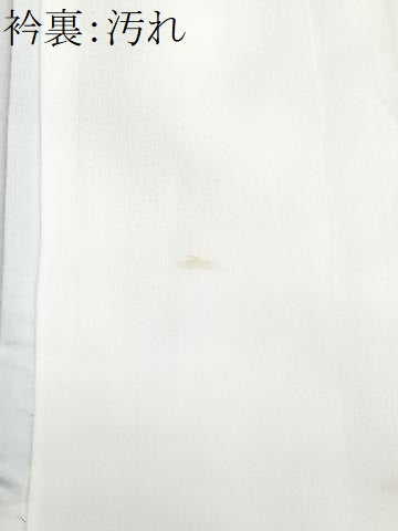 平和屋着物■豪華黒留袖　文箱短冊花鳥文　金彩　正絹　逸品　CABG6769xe
