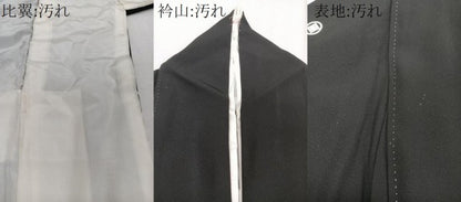 平和屋着物■豪華黒留袖　作家物　駒刺繍　本金箔　飛鳥風景文　正絹　逸品　CABG6831xi