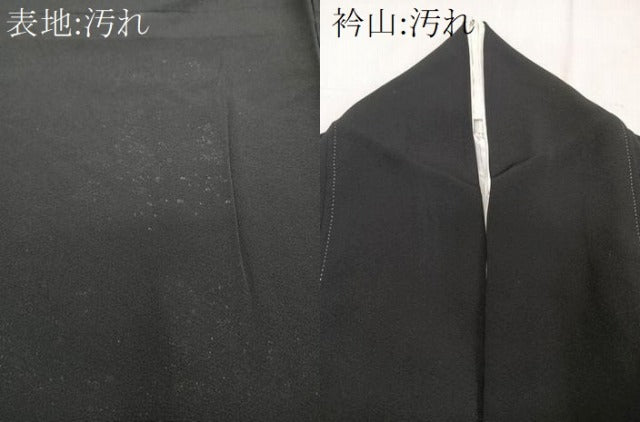平和屋着物■豪華黒留袖　作家物　駒刺繍　飛鳥丸花文　金彩　正絹　逸品　CABG6839xi