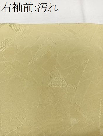 平和屋着物■豪華色留袖　幾何学地紋　金糸　正絹　逸品　CABG6841xi