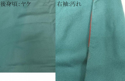平和屋着物■訪問着　扇梅文　椿　暈し染め　金銀彩　正絹　逸品　CABG6864xi