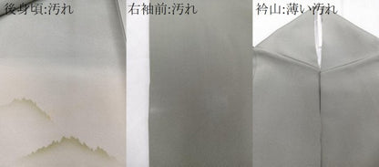 平和屋着物■豪華色留袖　遠山風景文　暈し染め　金彩　正絹　逸品　CABG6865xi