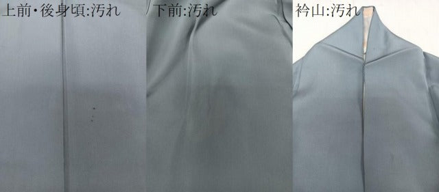 平和屋着物■上質な色無地　舛花色　正絹　逸品　CABG6887xi